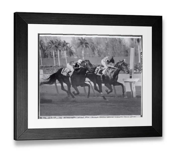 Framed Print : Horses Running in A Race Framed Print : Horses Running in A Race