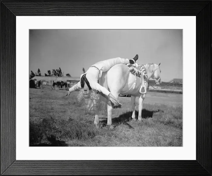 Framed Print : Mamie Van Doren Hanging off Rear of Horse Framed Print : Mamie Van Doren Hanging off Rear of Horse