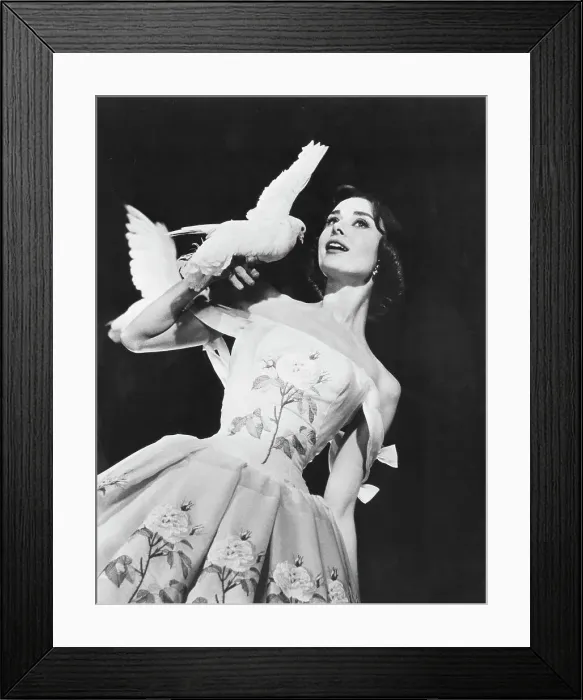 Framed Print : Audrey Hepburn Holding a Pigeon in Funny Face Framed Print : Audrey Hepburn Holding a Pigeon in Funny Face