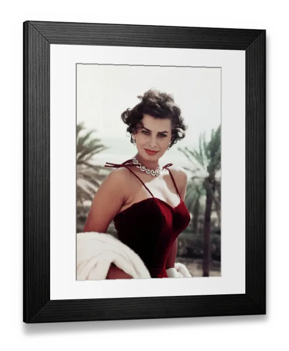 Framed Print : Actress Sophia Loren Framed Print : Actress Sophia Loren