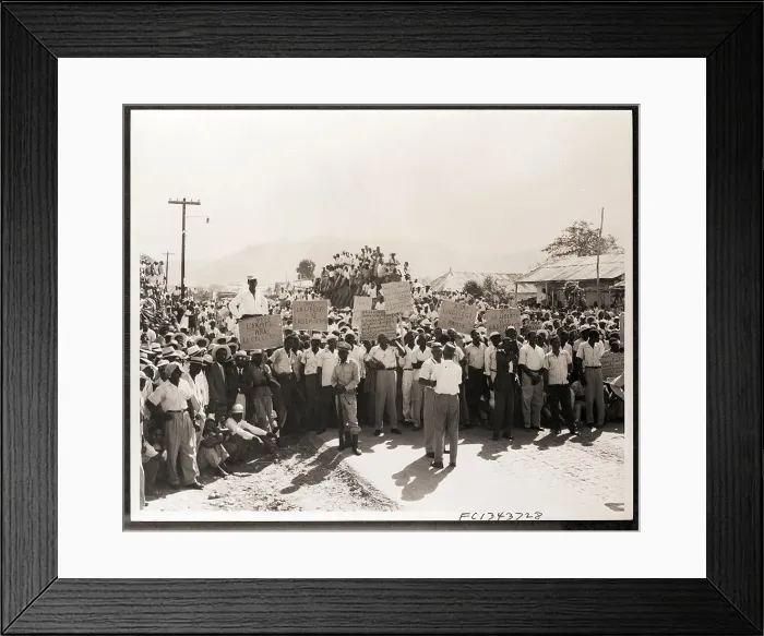 Framed Print : Protesters with Signs Demonstrate Framed Print : Protesters with Signs Demonstrate