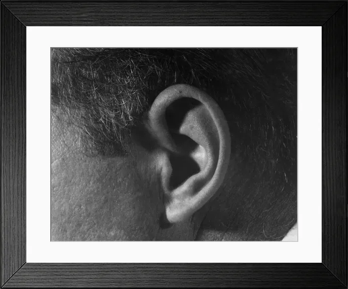 Framed Print : Close-up of Boxer Gene Fullmer's Ear Framed Print : Close-up of Boxer Gene Fullmer's Ear