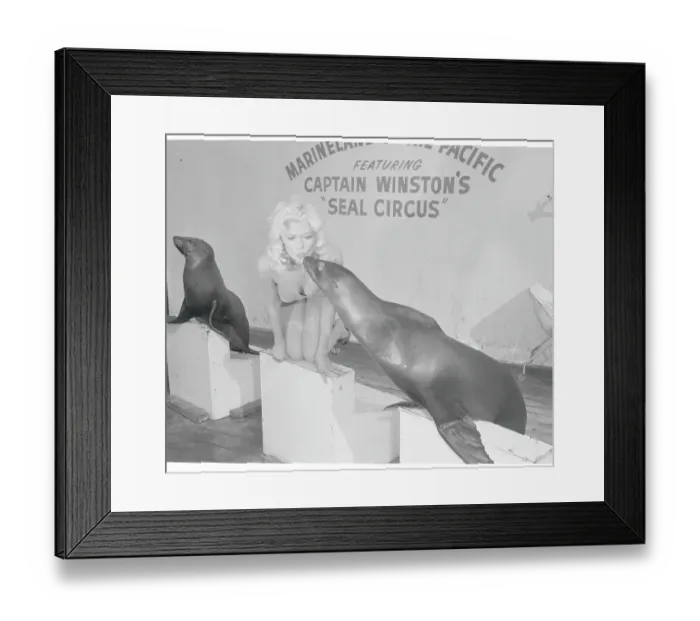 Framed Print : Jayne Mansfield Kissing Seal Framed Print : Jayne Mansfield Kissing Seal