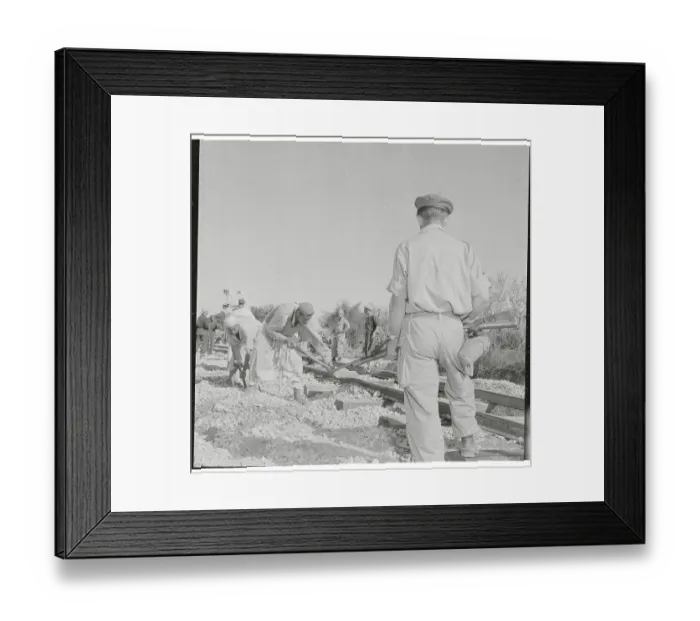 Framed Print : Prisoners Building Railroad Framed Print : Prisoners Building Railroad