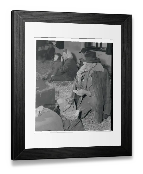 Framed Print : Elderly Hungarian Refugee and Others in Makeshift Camp Framed Print : Elderly Hungarian Refugee and Others in Makeshift Camp
