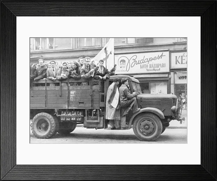 Framed Print : Hungarians Protesting with Blood Splattered Flag Framed Print : Hungarians Protesting with Blood Splattered Flag