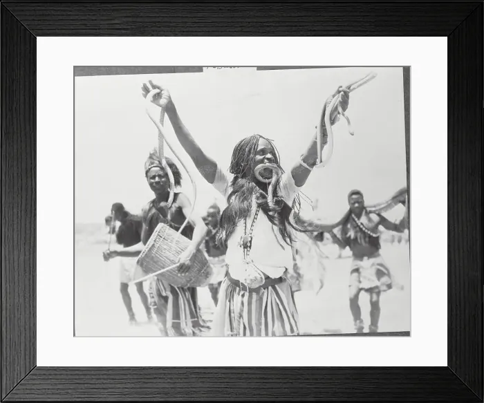Framed Print : Native Dancer Dancing with Snakes at Royal Ceremony Framed Print : Native Dancer Dancing with Snakes at Royal Ceremony