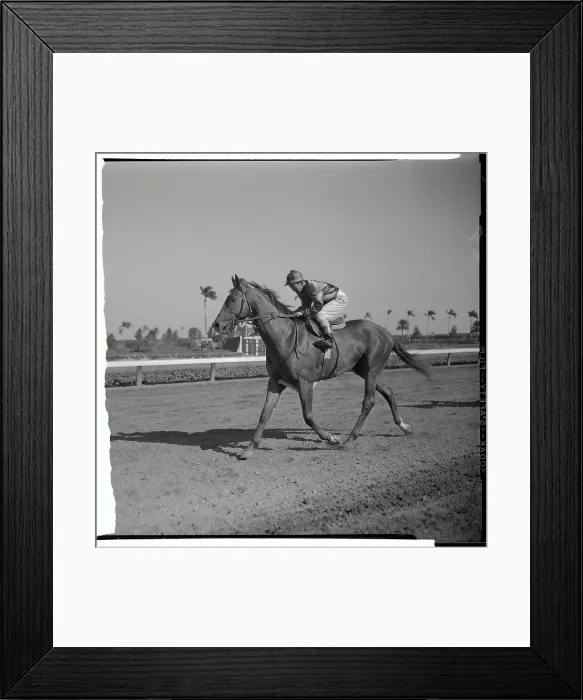 Framed Print : Willie Shoemaker Racing on Swaps