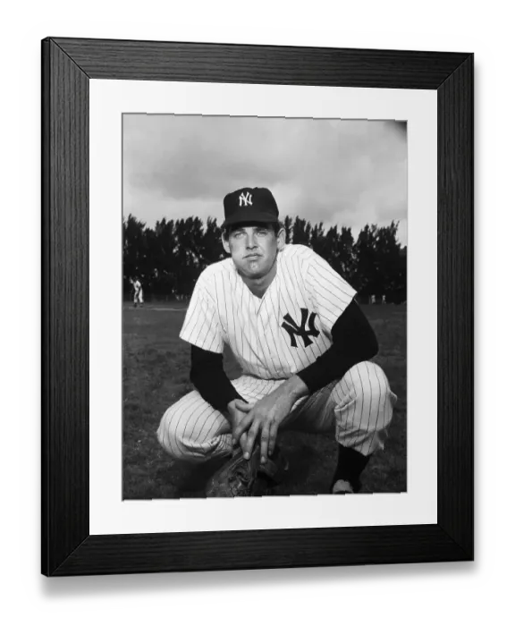 Framed Print : Pitcher Don Larsen on the Baseball Field