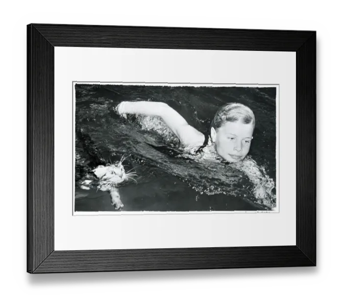 Framed Print : Kitten Swimming With Her Owner