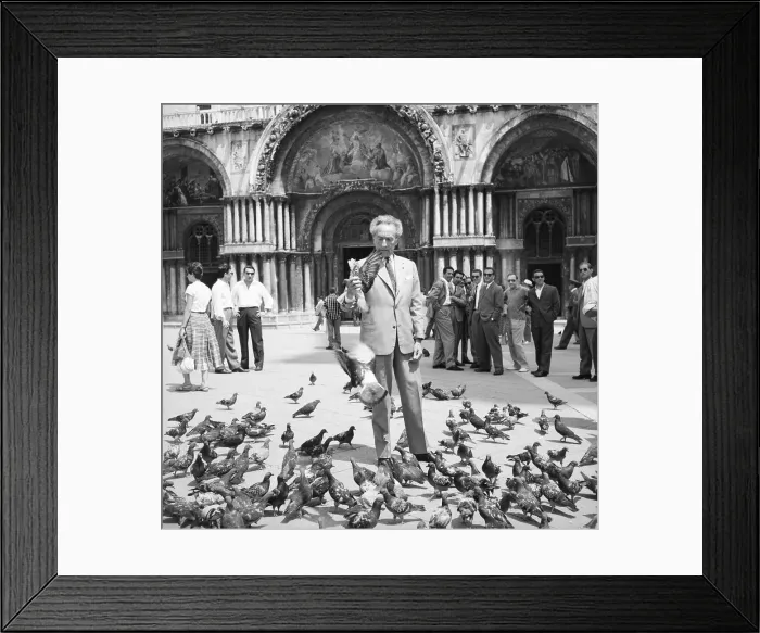 Framed Print : Pigeons Surround Jean Cocteau Framed Print : Pigeons Surround Jean Cocteau