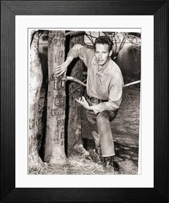 Framed Print : Charlton Heston Pointing Out Vandalism Framed Print : Charlton Heston Pointing Out Vandalism