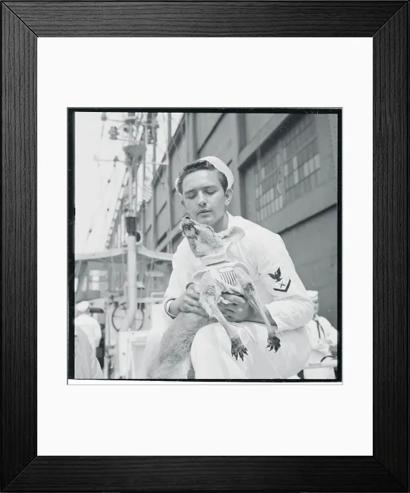 Framed Print : Member of Coast Guard Holding Kangaroo Framed Print : Member of Coast Guard Holding Kangaroo