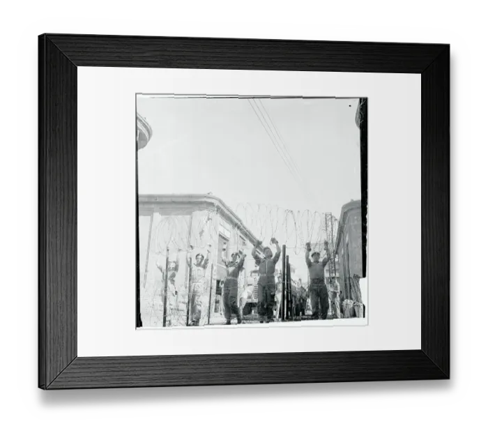 Framed Print : Barbed Wire Barrier Being Erected Framed Print : Barbed Wire Barrier Being Erected