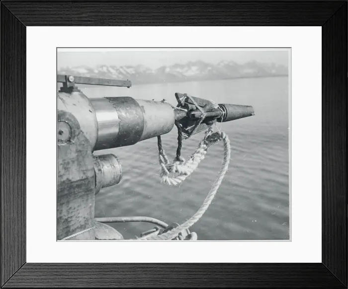 Framed Print : Harpoon Gun Framed Print : Harpoon Gun
