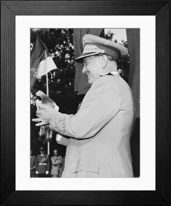 Framed Print : Marshal Tito Holding Carrier Pigeon Framed Print : Marshal Tito Holding Carrier Pigeon