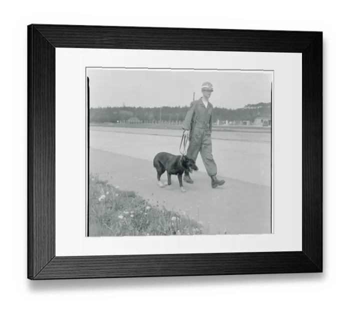 Framed Print : Soldier Walking with a German Shepherd Dog Framed Print : Soldier Walking with a German Shepherd Dog