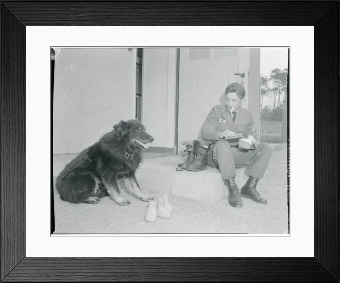 Framed Print : Soldier Polishing His Dog's Shoes Framed Print : Soldier Polishing His Dog's Shoes