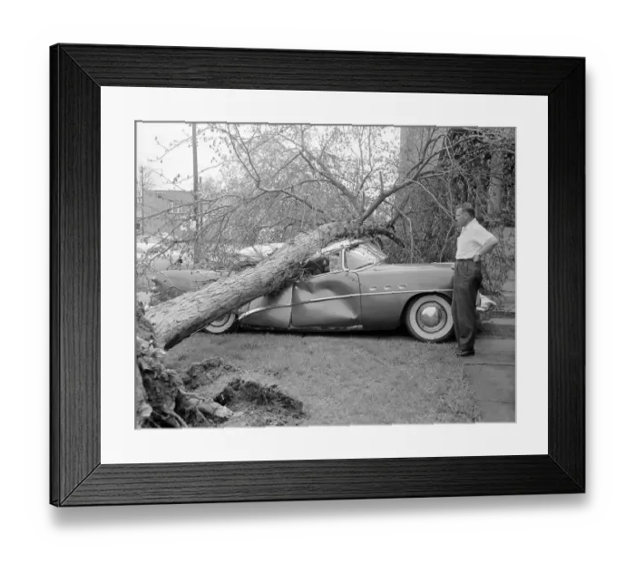 Framed Print : Man Looking at His Damaged Car. Cleveland, Ohio, USA. May 13, 1956 Framed Print : Man Looking at His Damaged Car. Cleveland, Ohio, USA. May 13, 1956