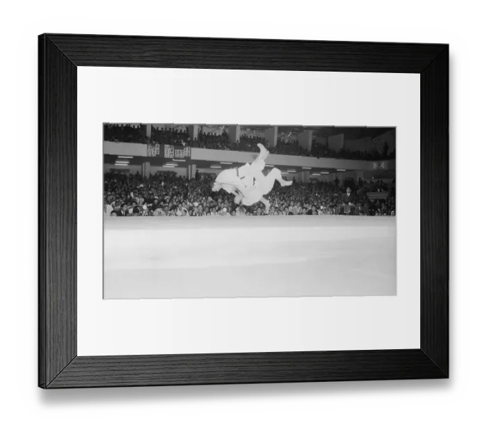Framed Print : Vincent Tamura and Otto Schlatter Fighting While in the Air Framed Print : Vincent Tamura and Otto Schlatter Fighting While in the Air