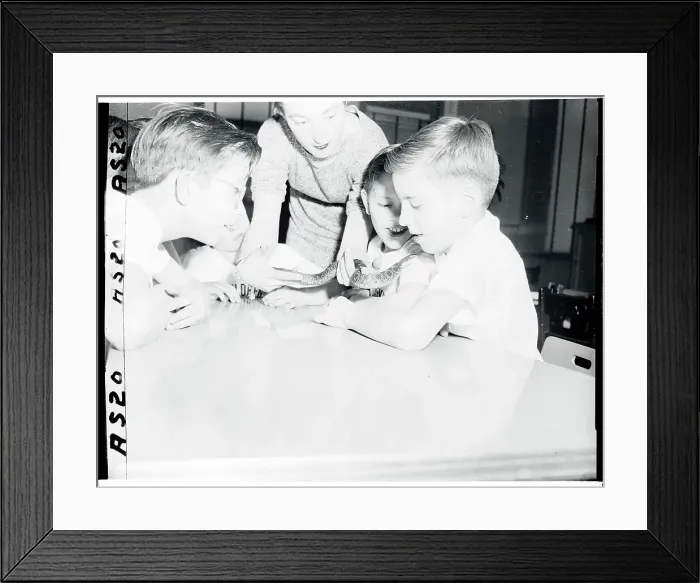 Framed Print : View of Children Handling Snake Framed Print : View of Children Handling Snake