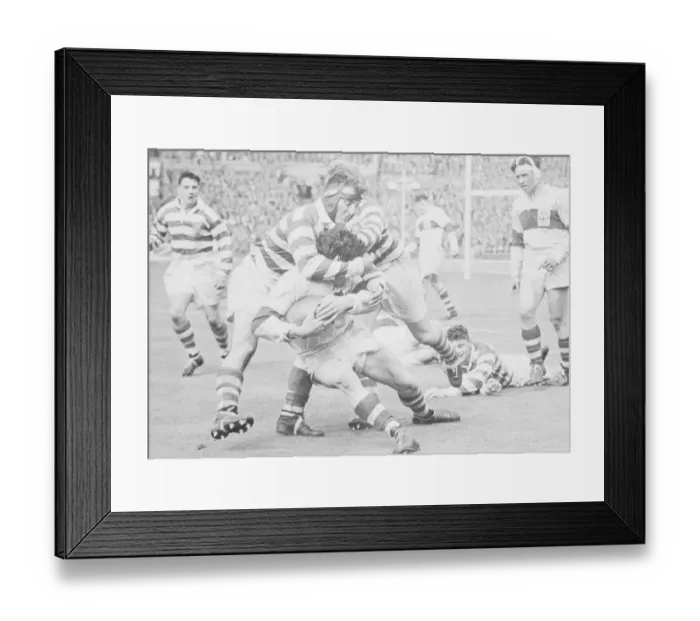 Framed Print : Rugby Players Tackling Each Other Framed Print : Rugby Players Tackling Each Other