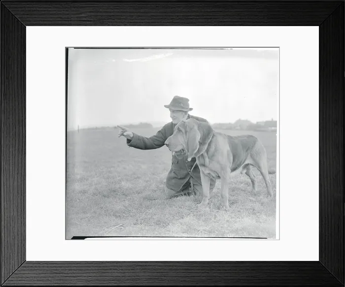 Framed Print : Noted Trainer with Bloodhound Framed Print : Noted Trainer with Bloodhound