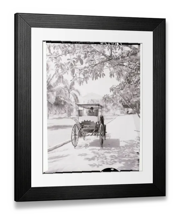 Framed Print : View of Bahamian Carriage and Villa Framed Print : View of Bahamian Carriage and Villa