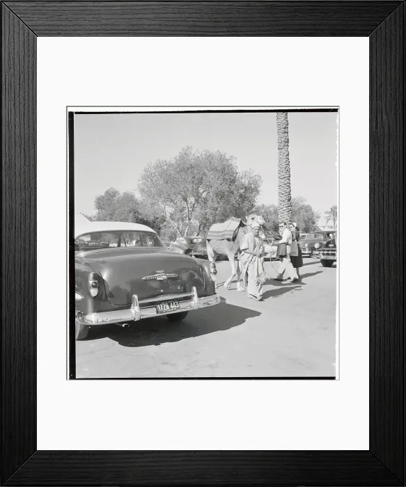 Framed Print : Arab Walking with Camel Framed Print : Arab Walking with Camel