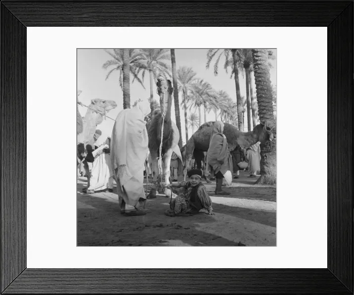 Framed Print : Portrait of an Arab Boy Holding a Camel