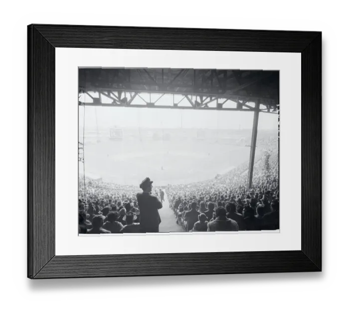 Framed Print : View of Roosevelt Stadium Framed Print : View of Roosevelt Stadium
