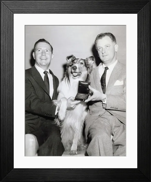 Framed Print : Acting Dog Lassie with Actors Douglas Edwards and Art Carney