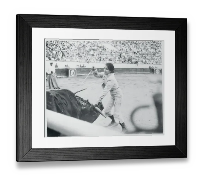 Framed Print : Bertha Trujillo Stabbing thr Bull Framed Print : Bertha Trujillo Stabbing thr Bull