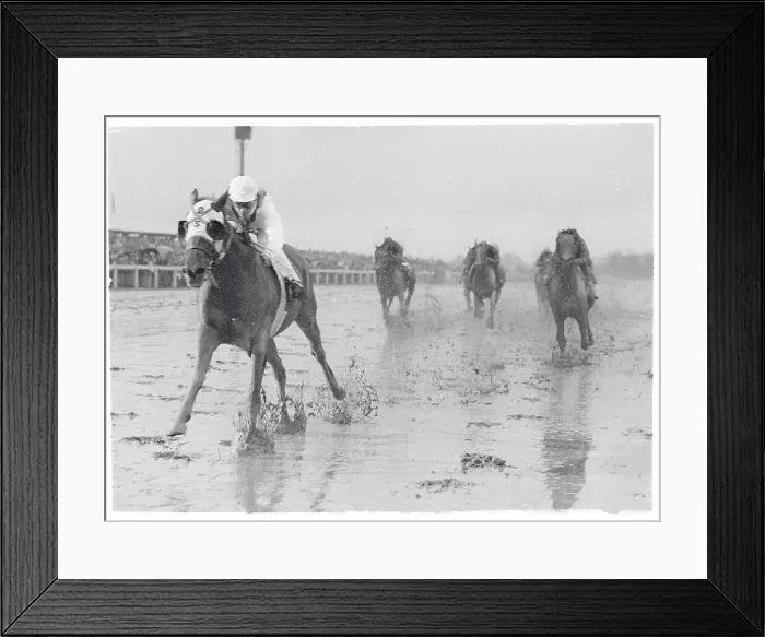 Framed Print : Willie Hartack Racing Sailor'for the Win Framed Print : Willie Hartack Racing Sailor'for the Win