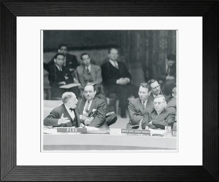 Framed Print : UN Security Council Discussing Peace Mission Framed Print : UN Security Council Discussing Peace Mission