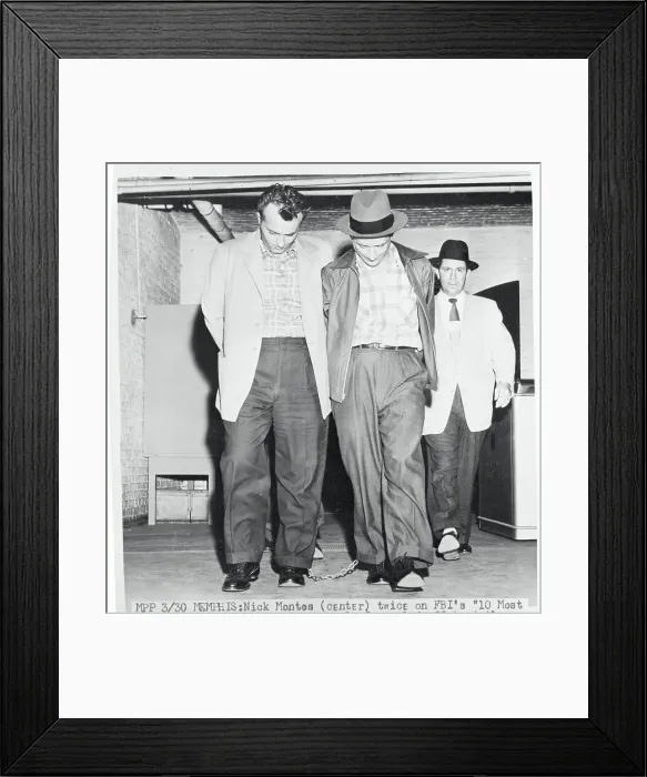 Framed Print : Most Wanted Suspects Being Escorted With Their Heads Down Framed Print : Most Wanted Suspects Being Escorted With Their Heads Down
