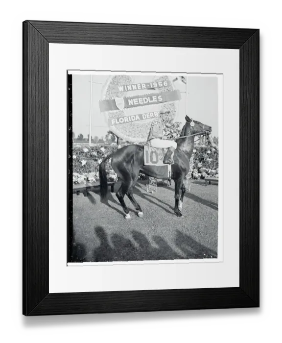 Framed Print : Horse and Rider Posing in Front of a Winner's Plaque Framed Print : Horse and Rider Posing in Front of a Winner's Plaque
