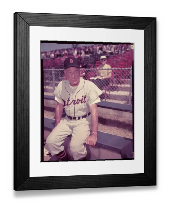 Framed Print : Portrait of Baseball Coach Bucky Harris Framed Print : Portrait of Baseball Coach Bucky Harris