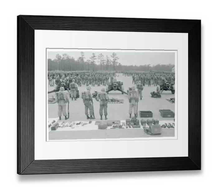 Framed Print : Soldiers Standing at Attention Framed Print : Soldiers Standing at Attention