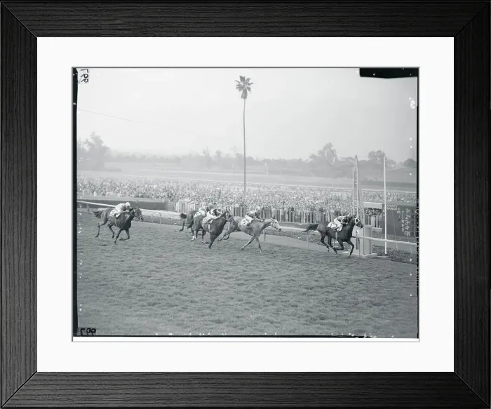 Framed Print : Horses Running in a Race Framed Print : Horses Running in a Race