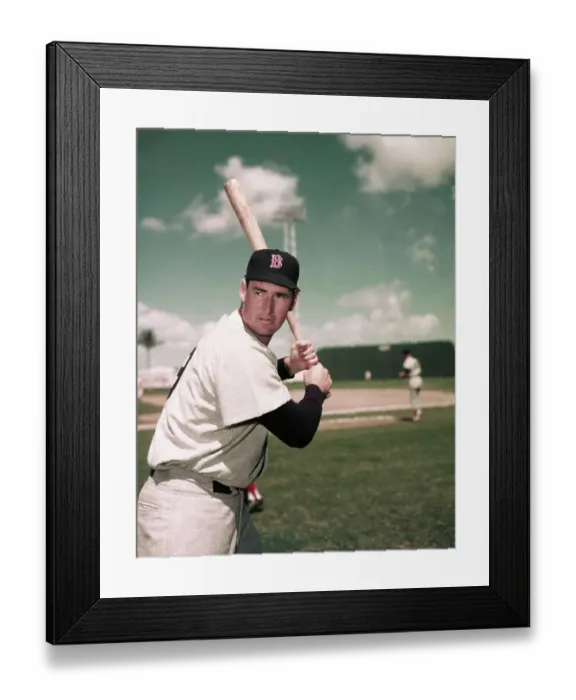 Framed Print : Ted Williams of Boston Red Sox in Batting Stance Framed Print : Ted Williams of Boston Red Sox in Batting Stance