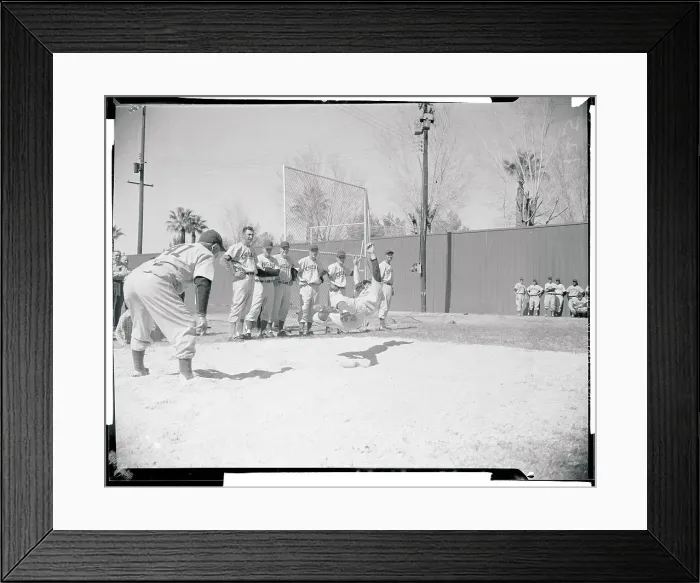 Framed Print : Chicago Cubs at Spring Training