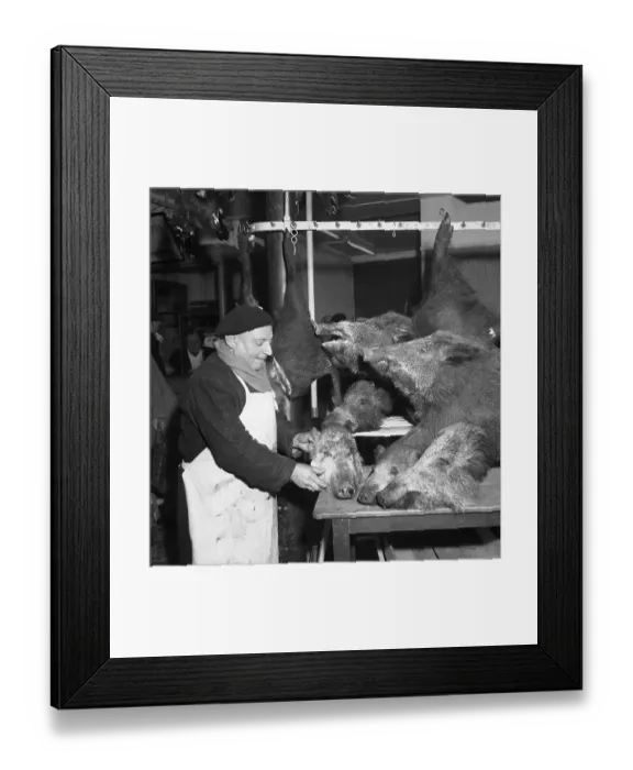 Framed Print : Butcher with Wild Boar