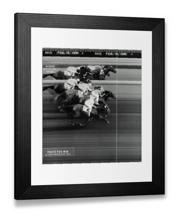 Framed Print : Photo Finish of a Horse Race Framed Print : Photo Finish of a Horse Race