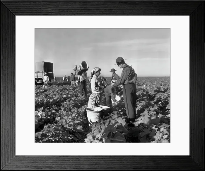 Framed Print : Immigration Service in War Against Illegal Aliens Framed Print : Immigration Service in War Against Illegal Aliens