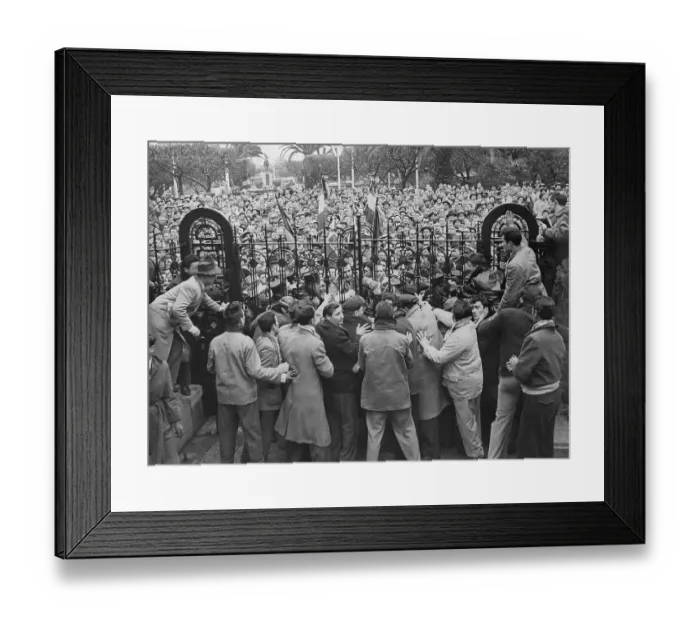 Framed Print : French Demonstrators in Algerian Riot Framed Print : French Demonstrators in Algerian Riot