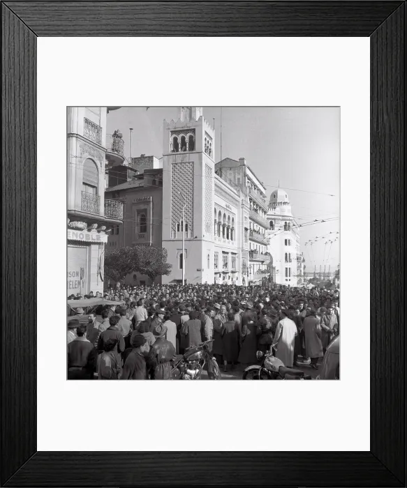Framed Print : French in Algiers Demonstrating Framed Print : French in Algiers Demonstrating