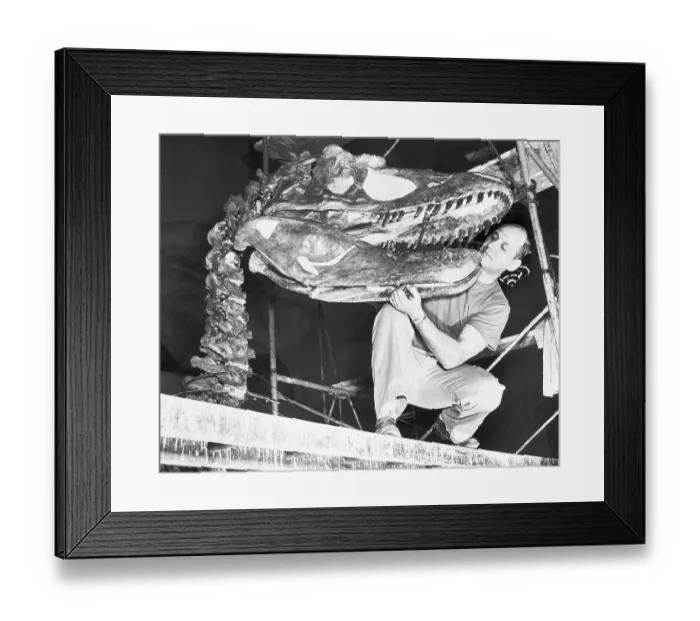 Framed Print : Orville Gilpin Inspecting a Dinosaur Fossil Framed Print : Orville Gilpin Inspecting a Dinosaur Fossil
