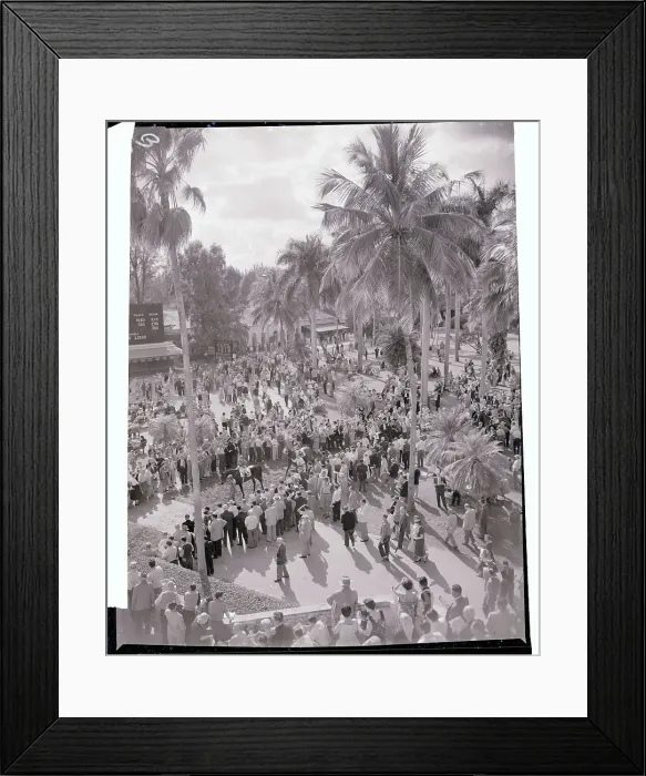 Framed Print : People Gathering at Hialeah Park Framed Print : People Gathering at Hialeah Park