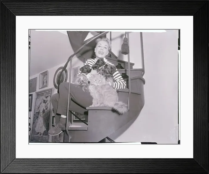 Framed Print : June Havoc Sitting with Cat Framed Print : June Havoc Sitting with Cat